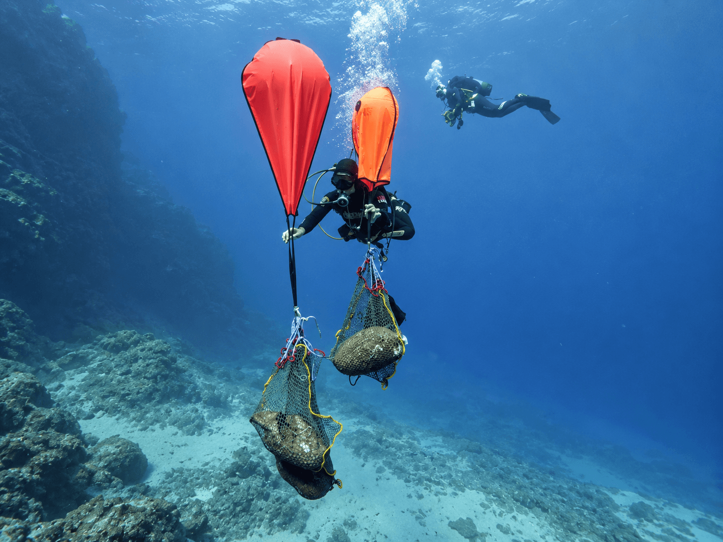 Due subacquei nel mare blu: uno porta verso la superficie, appese a due palloni arancioni, delle reti con dentro reperti incrostati